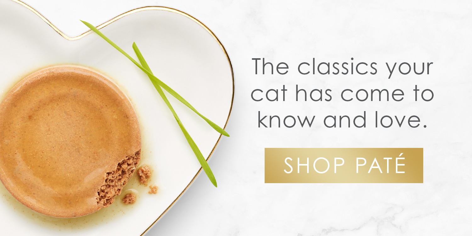 Purina Fancy Feast Shop Purina Fancy Feast – Gourmet Cat Food, Wet Food, Dry Food & Tasty Meals Made for Your Feline Friend-Purina Fancy Feast Shop