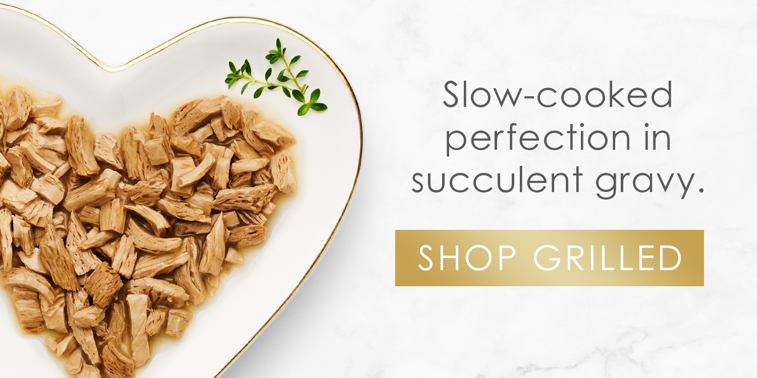 Purina Fancy Feast Shop Purina Fancy Feast – Gourmet Cat Food, Wet Food, Dry Food & Tasty Meals Made for Your Feline Friend-Purina Fancy Feast Shop